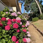 Saint-raphael, La Peguiere, 5mn A Pied Des Plages * Boulouris-sur-Mer